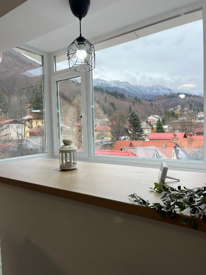 Mountain View Daire Sinaia Dış mekan fotoğraf