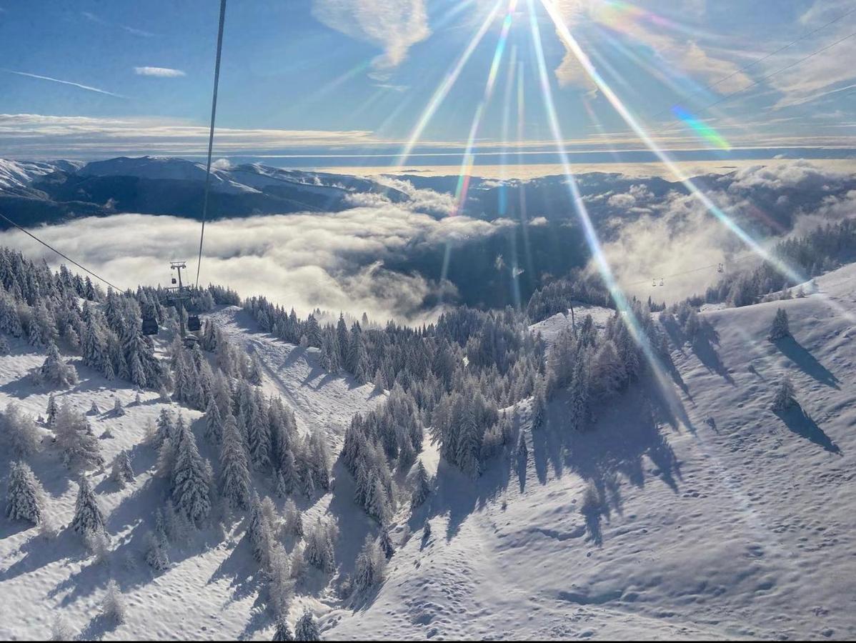 Mountain View Daire Sinaia Dış mekan fotoğraf